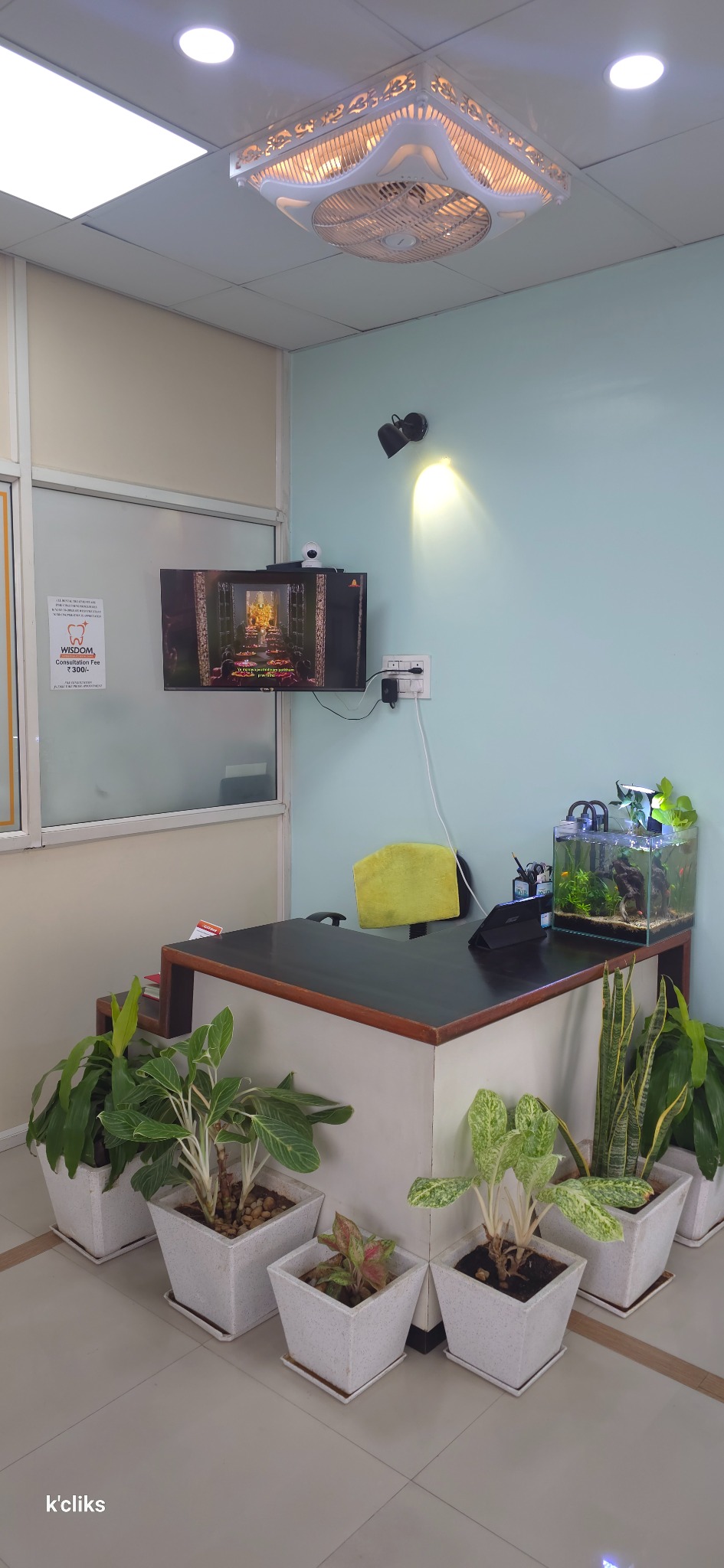 Reception desk with indoor plants at Wisdom Dental